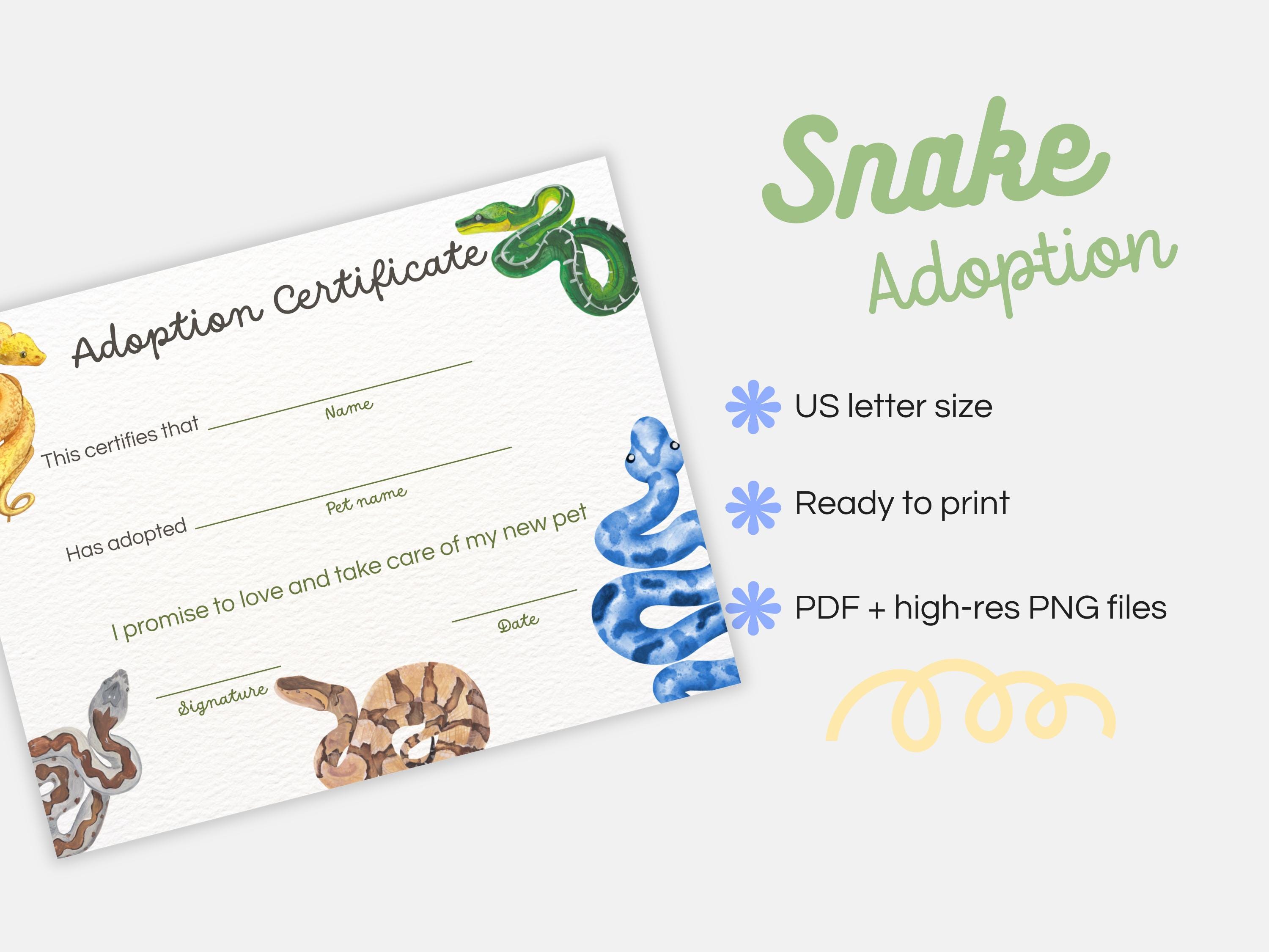 Reptile Rescue Form Snake Adoption Certificate Printable for Kids Editable Text Canva ...