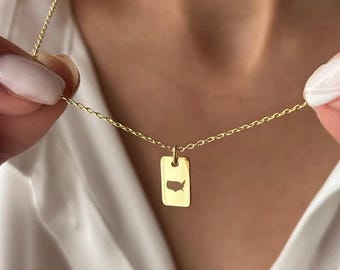 Personalized Copper USA Map Necklace, Gold or Silver Finish