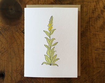 Mullein Wildflower Letterpress Card