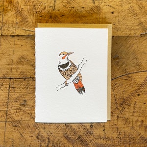 "Letterpress Grußkarte ""Northern Flicker""."