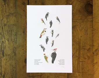 Unos pocos pájaros carpinteros Impresión tipográfica - 12" x 18"