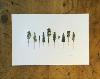 A Few Conifers Letterpress Print - 12" x 18"