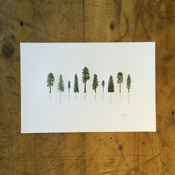 A Few Conifers Letterpress Print - 12" x 18"