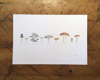 A Few Mushrooms Letterpress Print - 12" x 18"