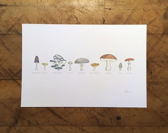 A Few Mushrooms Letterpress Print - 12" x 18"