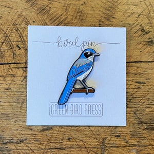 California Scrub Jay Enamel Pin