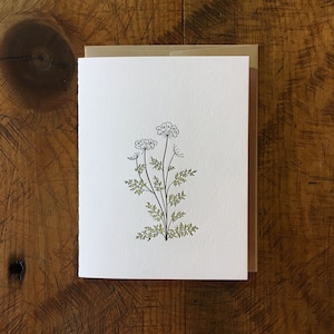 Queen Anne's Lace Wildblumen Letterpress Karte