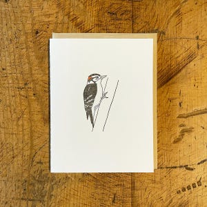 Downy Woodpecker Letterpress Card