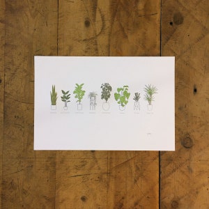 A Few Houseplants Letterpress Print - 12" x 18"