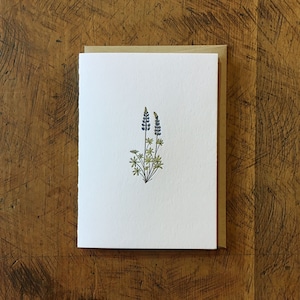 Lupinen Wildblumen Letterpress Karte