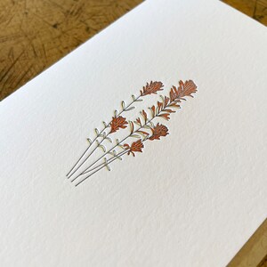 Desert Paintbrush Wildflower Letterpress Card image 3