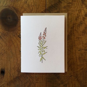 Fireweed Wildflower Letterpress Card