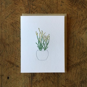 Carte typographique Cactus Crayon