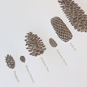 A Few Pine Cones Letterpress Print 12 x 18 image 4