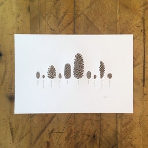 Stampa tipografica "A Few Pine Cones" - 12" x 18"