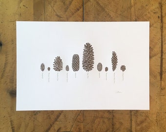 A Few Pine Cones Letterpress Print - 12" x 18"