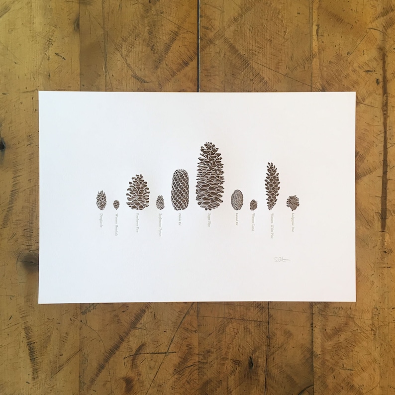 A Few Pine Cones Letterpress Print 12 x 18 image 1
