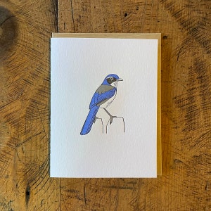 Carte typographique California Scrub Jay