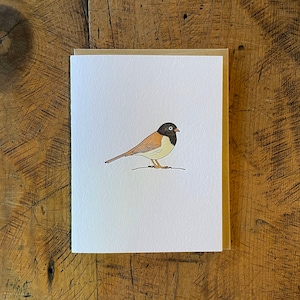 Dark-eyed Junco Letterpress Card