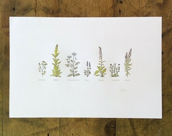 A Few Wildflowers Letterpress Print - 12" x 18"