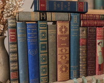 15 Vintage Books for Décor | Curated Vintage Book Set | Decorative Hardcover Books | Old Books | Dark Academia