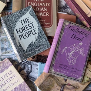 May include: A collection of vintage books with various titles and colors. Prominent titles include "The Forest People," "New England: Indian Summer," and "Galloping Head." The books are arranged in a layered composition, showcasing their aged covers.