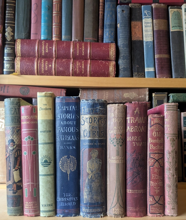 Puede incluir: Una colecci&oacute;n de libros antiguos con varios colores y dise&ntilde;os. Los lomos muestran t&iacute;tulos como "Capital Stories About Famous Americans" y "Fifty Stories for Girls". Los libros est&aacute;n dispuestos en estanter&iacute;as, mostrando sus cubiertas envejecidas y su importancia hist&oacute;rica.