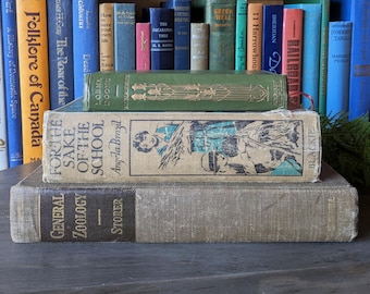 Set van 3 vintage decoratieve boeken - gemengde stijlen, samengestelde collectie