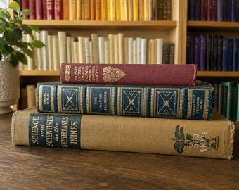 Set of 3 Decorative Vintage Books - Curated Vintage Book Decor - Bookshelf Styling - Home Decor