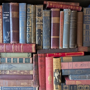 Puede incluir: Una colección de libros antiguos de varios colores y tamaños, colocados en estanterías. Las lomos muestran títulos en letras doradas, con tonos de azul, rojo y verde dominando la colección. Algunos libros tienen cubiertas decorativas.