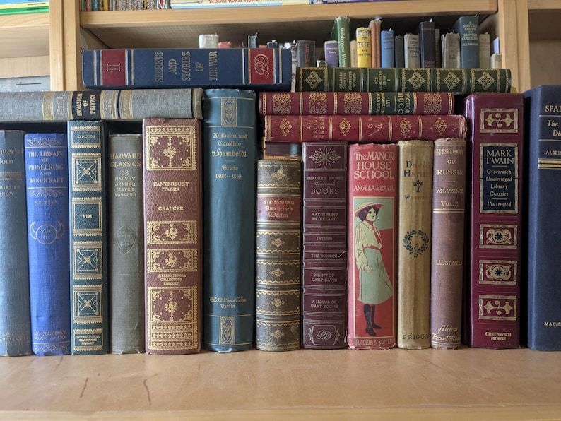 Puede incluir: Una colecci&oacute;n de libros antiguos de varios colores y tama&ntilde;os, colocados en una estanter&iacute;a de madera. Las lomos muestran t&iacute;tulos como "Canterbury Tales" y "Mark Twain", con letras doradas y dise&ntilde;os en relieve. Los libros son una mezcla de tapas duras.