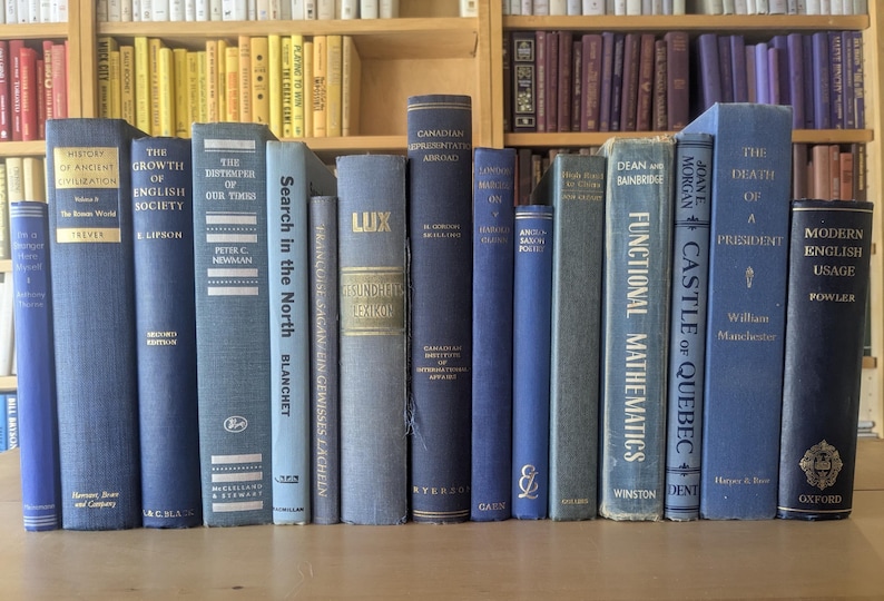 Juego de 15 libros vintage decorativos - Decoración con libros vintage seleccionados - Estilismo de estanterías - Decoración del hogar imagen 3