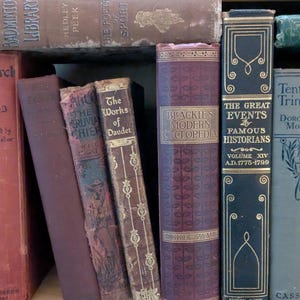 Puede incluir: Una colecci&oacute;n de libros antiguos de varios colores y tama&ntilde;os. Los t&iacute;tulos incluyen "The Life of the Plant", "Bismarck" y "The Great Events". Las lomos muestran letras ornamentadas y elementos decorativos, evocando una biblioteca o librer&iacute;a vintage.