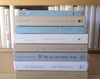 Coastal Blend Books for Decor - Set of 8 – Mixed Decorative Library Decor