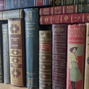 Puede incluir: Una colecci&oacute;n de libros antiguos con varios colores y dise&ntilde;os. Las portadas muestran t&iacute;tulos como "Canterbury Tales" y "The Manor House School". Algunos libros tienen letras doradas y patrones decorativos.