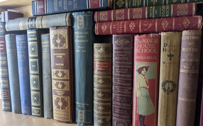 Puede incluir: Una colecci&oacute;n de libros antiguos con varios colores y dise&ntilde;os. Las portadas muestran t&iacute;tulos como "Canterbury Tales" y "The Manor House School". Algunos libros tienen letras doradas y patrones decorativos.