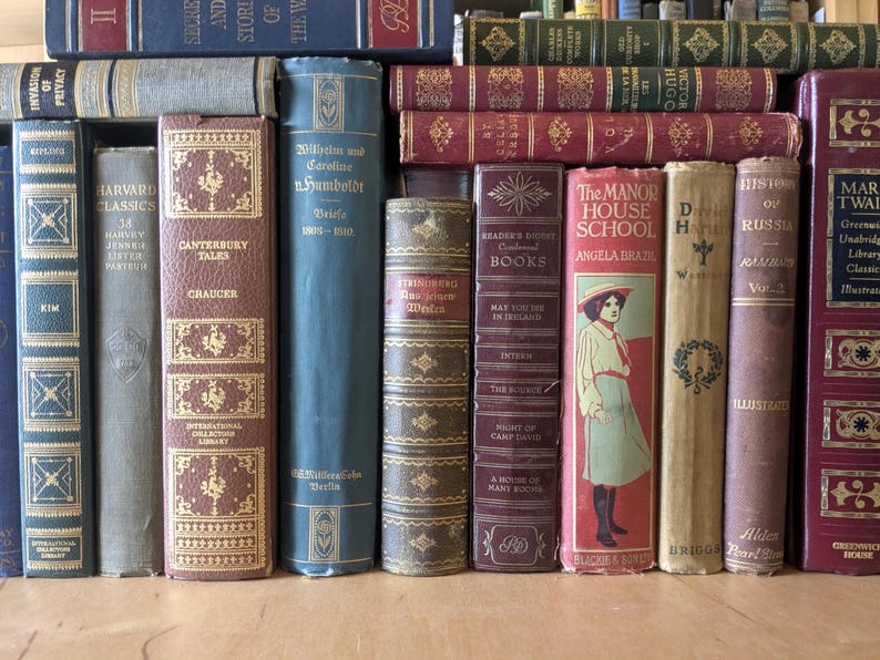 Puede incluir: Una colecci&oacute;n de libros antiguos de varios colores y tama&ntilde;os. Los t&iacute;tulos incluyen "Canterbury Tales", "The Manor House School" e "Historia de Rusia". Los libros est&aacute;n dispuestos sobre una superficie de madera, mostrando sus cubiertas y lomos envejecidos.
