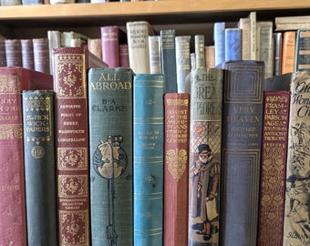 Vintage Books by the Inch – Mixed Decorative Library Decor