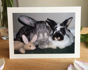 Snuggle Bunnies - Valentine / Easter / Birthday Greeting Card for Rabbit Lovers