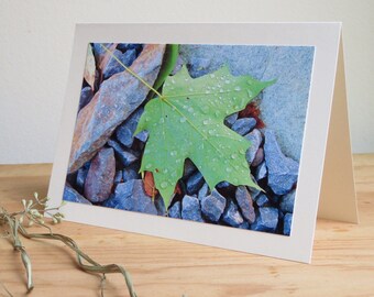 Dew-Kissed Leaf - Inspirational / Birthday / Just Because Greeting Card