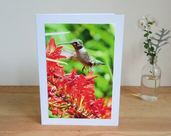 Hummingbird A Dream Come True - Inspirational / Birthday / Just Because Greeting Card