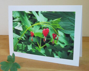 Bleeding Heart Flowers - Inspirational / Birthday / Sympathy / Just Because Greeting Card