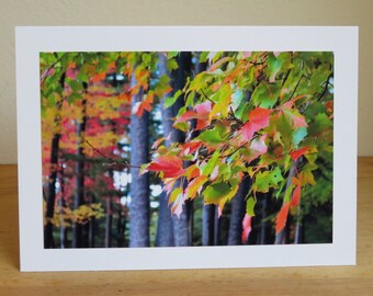 Arrival of Autumn Color, Vermont Trees, Fall Leaves - Inspirational / Birthday / Just Because Greeting Card