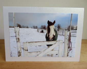 Pinto Horse at Snowy Gate  - Inspirational / Winter Birthday / Holiday / Christmas / Just Because Greeting Card