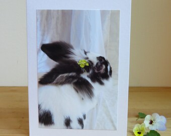 Bunny Flower Girl - Birthday / Easter / Wedding Greeting Card for Rabbit Lovers