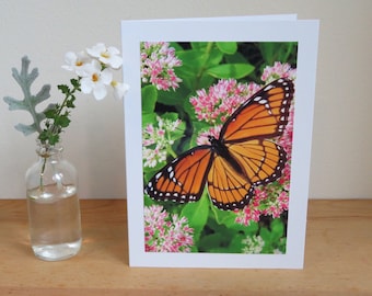 Viceroy Butterfly - Inspirational / Birthday / Just Because Greeting Card