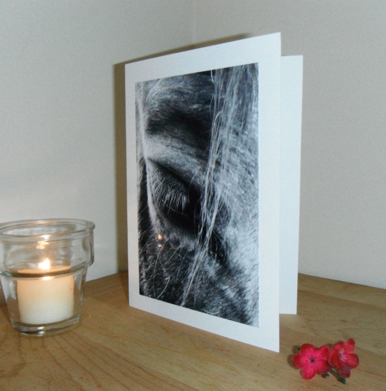 Horse Eye Equine Soul Therapy Inspirational / Birthday / Holiday / Sympathy / Just Because Greeting Card image 2