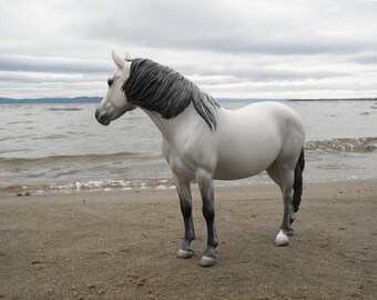 Welsh Pony Gazing At Lake Champlain Vermont - Birthday / Thinking Of You Model Horse Greeting Card