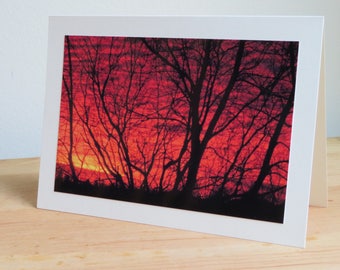 Red Dawn - Sunrise Trees - Inspirational / Birthday / Holiday / Just Because Greeting Card