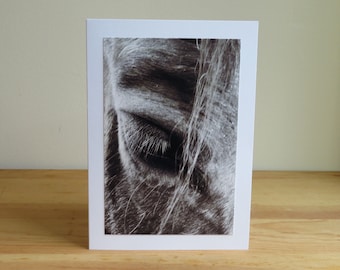 Horse Eye Equine Soul Therapy - Inspirational / Birthday / Holiday / Sympathy / Just Because Greeting Card